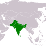 South Asian