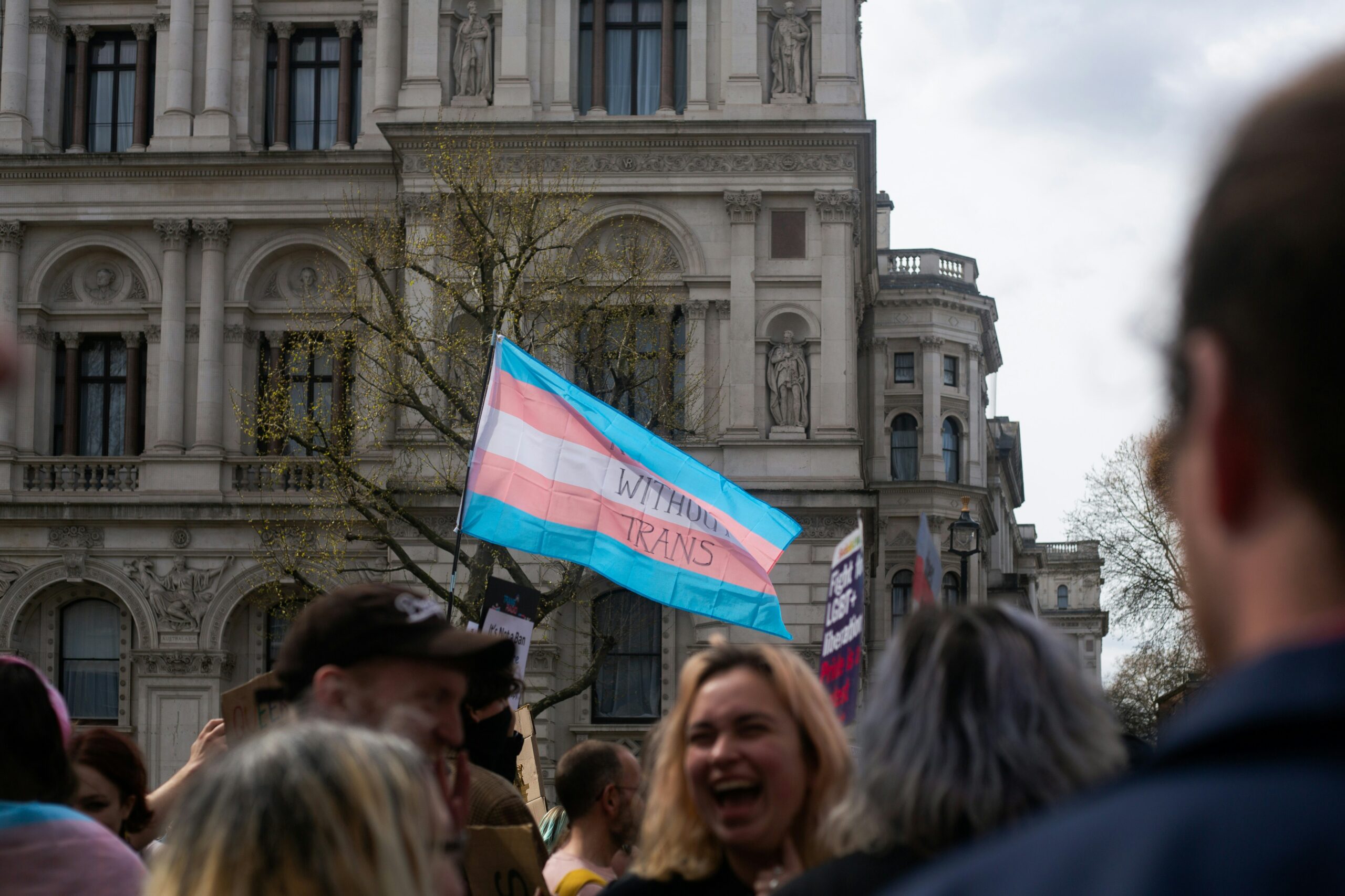 Transgender flag